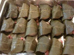 IMG_0927resized.jpg