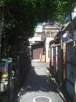 IMG_1031resized.jpg