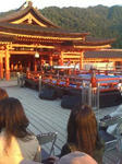 IMG_1047resized.jpg
