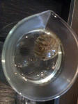 IMG_2003resized.jpg