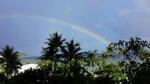 IMG_2001resized.jpg