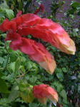 IMG_2213resized.jpg