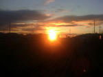 IMG_2396resized.jpg