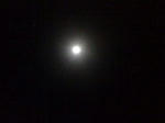 IMG_2412resized.jpg