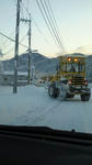 IMG_2411resized.jpg