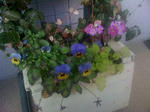 IMG_2493resized.jpg