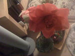 IMG_2505resized.jpg