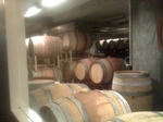 IMG_2561resized.jpg