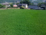 6b363f63.JPG