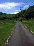 IMG_2605resized.jpg