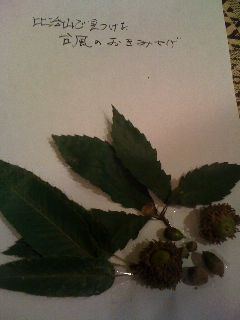 IMG_2684resized.jpg