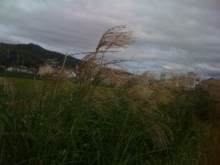 IMG_2704resized.jpg