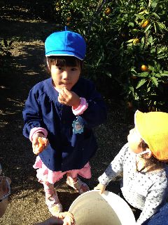 IMG_0010resized.jpg