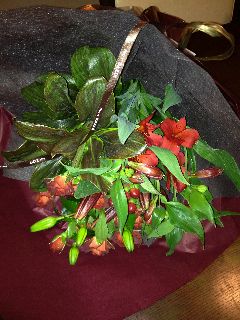 IMG_0145resized.jpg