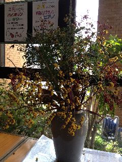 IMG_0215resized.jpg