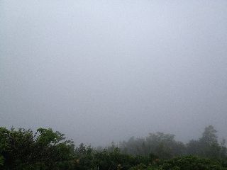 IMG_0680resized.jpg