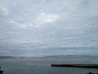 IMG_0904resized.jpg