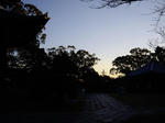 IMGP3779a.JPG
