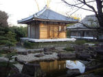 IMGP3783a.JPG