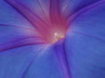 CIMG0690a.JPG