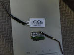 CIMG1213a.JPG