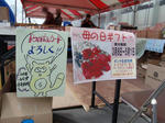 CIMG0042a.JPG