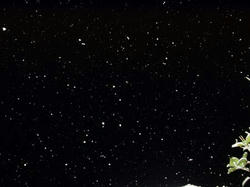 夜の雪
