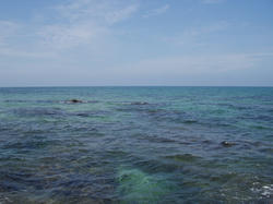 琴引浜