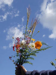 野草の花束