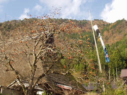 北村