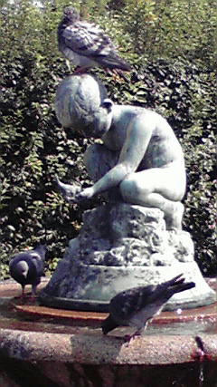 鳥を持つ少年
