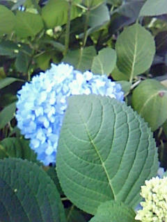 090609_1020~0001.jpg