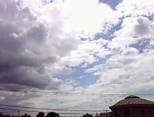 090804_1404~0002.jpg