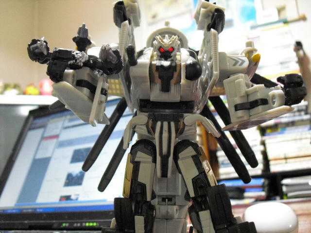 CIMG0025.JPG