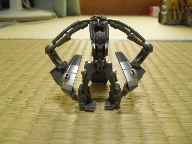 CIMG1065.JPG