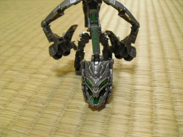 CIMG1070.JPG