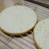 suzu-sp07.jpg