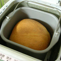 HB-1118-01.jpg