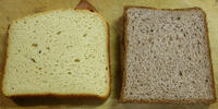 pan-HB.jpg