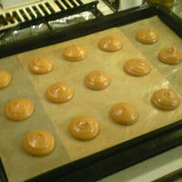 8568b9b1.jpg