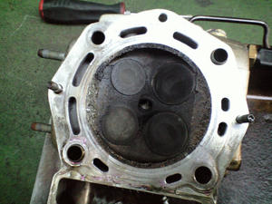 a3f49e83.jpg