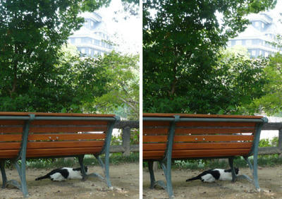 岡山城と白黒ブチ猫 平行法３Ｄ写真