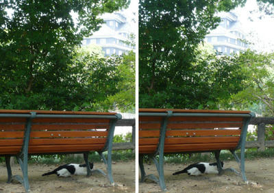 岡山城と白黒ブチ猫 交差法ステレオ写真