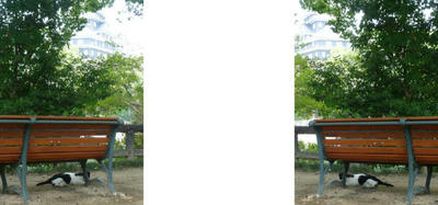 岡山城と白黒ブチ猫 ミラー法立体写真