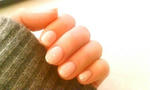 20071226153119.jpg