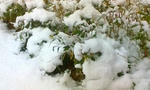20080209162006.jpg