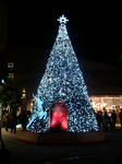 20081115190354.jpg