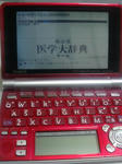 20081204220911.jpg