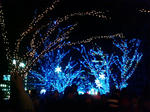 20081223202122.jpg