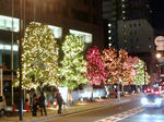 20081223205217.jpg